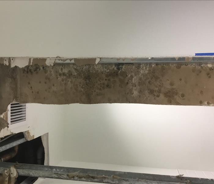Water damage and mold in San Diego commercial bathroom needs to be removed and replaced drywall 
