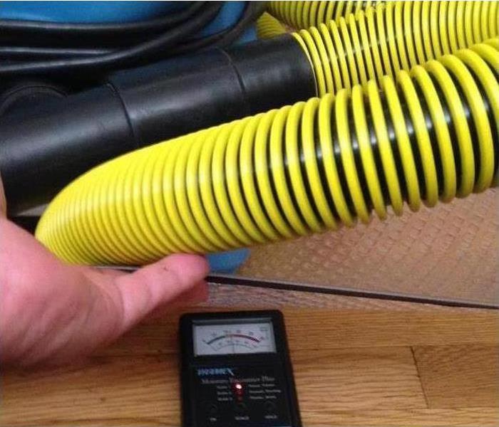 SERVPRO technician uses moisture meter to determine severity of water damage in Coronado, San Diego home