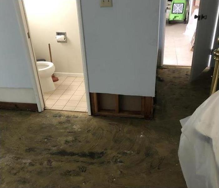 Bathroom sink leak spills out into bedroom and causes water damage to the carpet and flooring